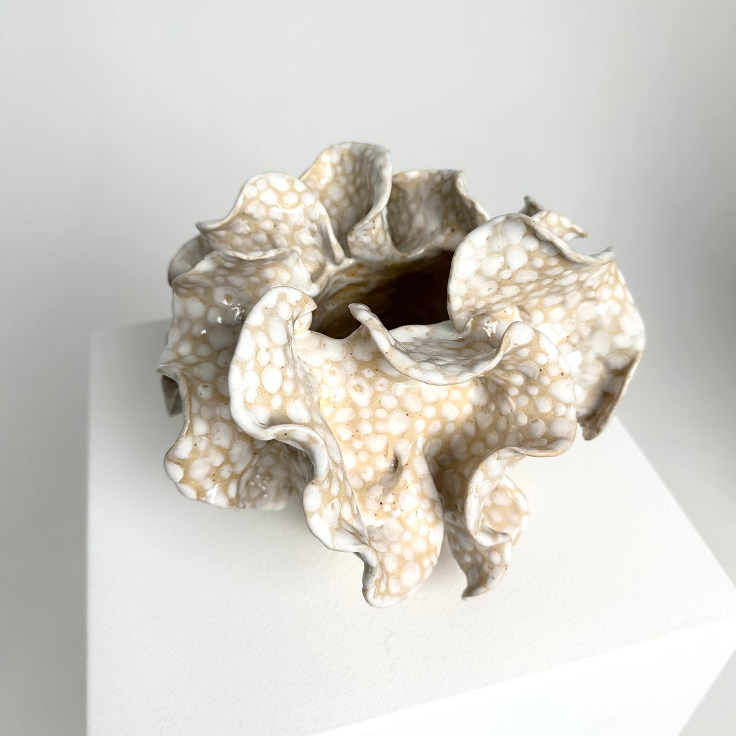 Vasa Baltijos Jūra no.1