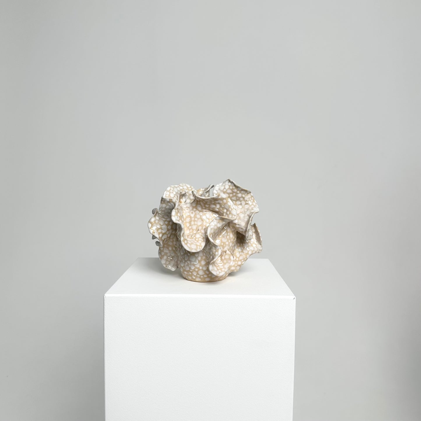 Vasa Baltijos Jūra no.1