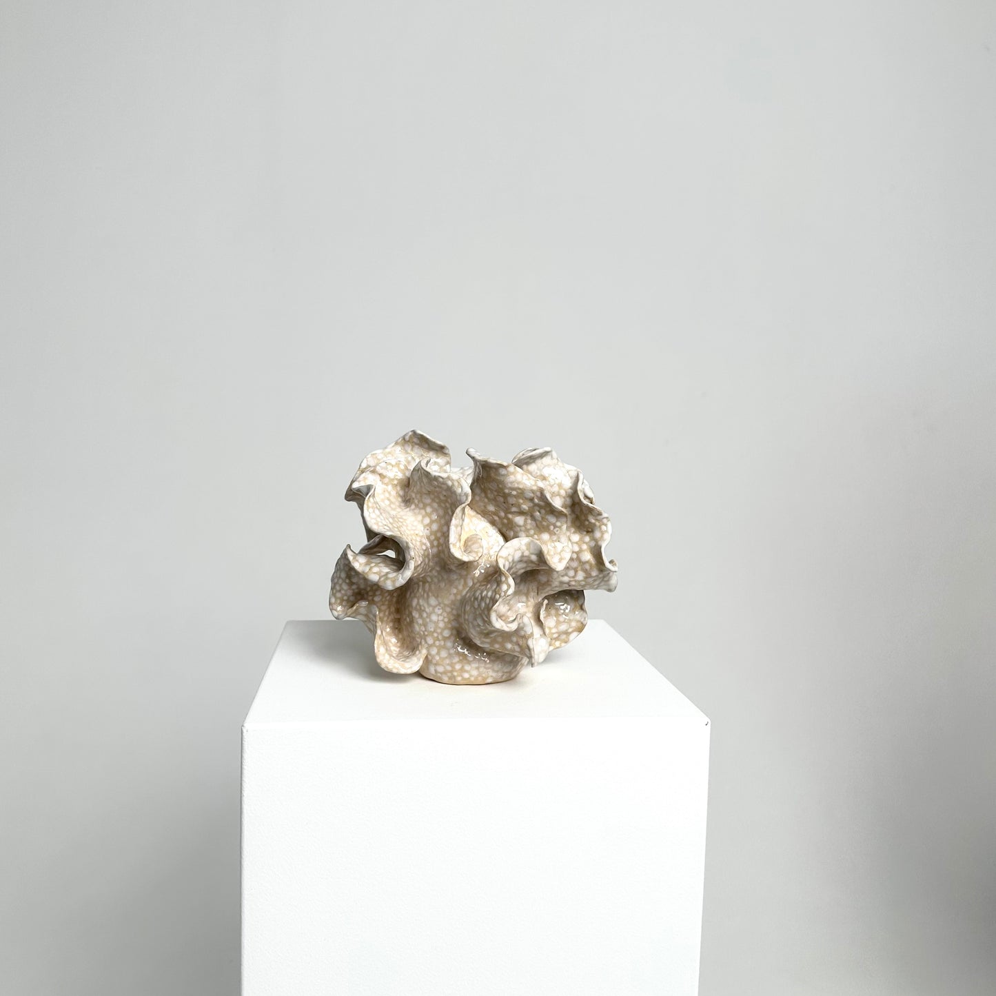 Vasa Baltijos Jūra no.1